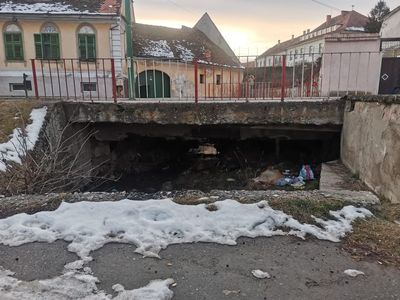 Curățenia din comunitatea cisnădiană - O responsabilitatea comună