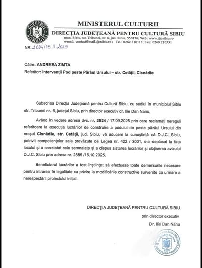 Podul de pe Cetății (V): Ce am aflat după luni de demersuri